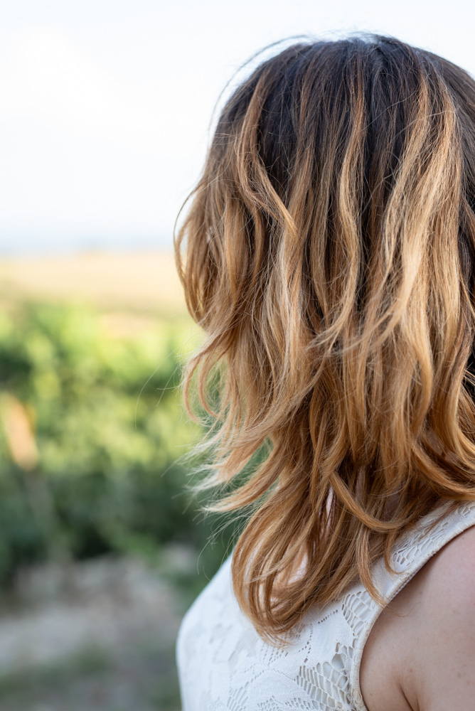 Regard sur les vignes