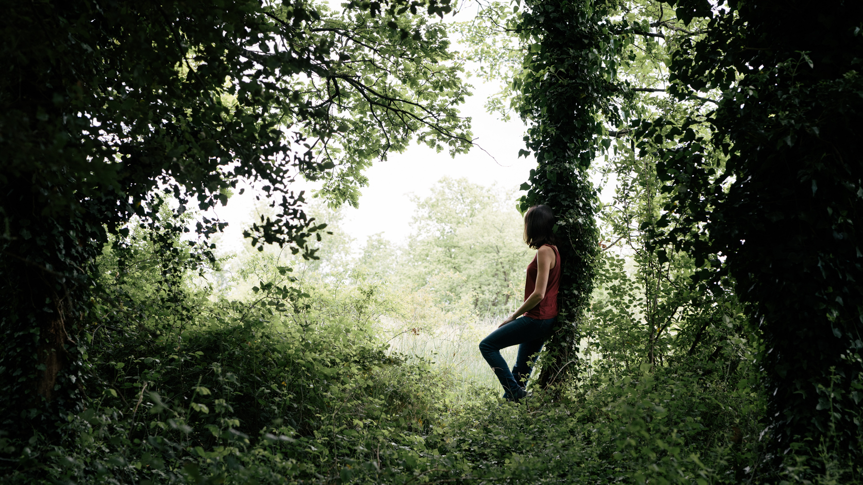 Respiration dans la forêt